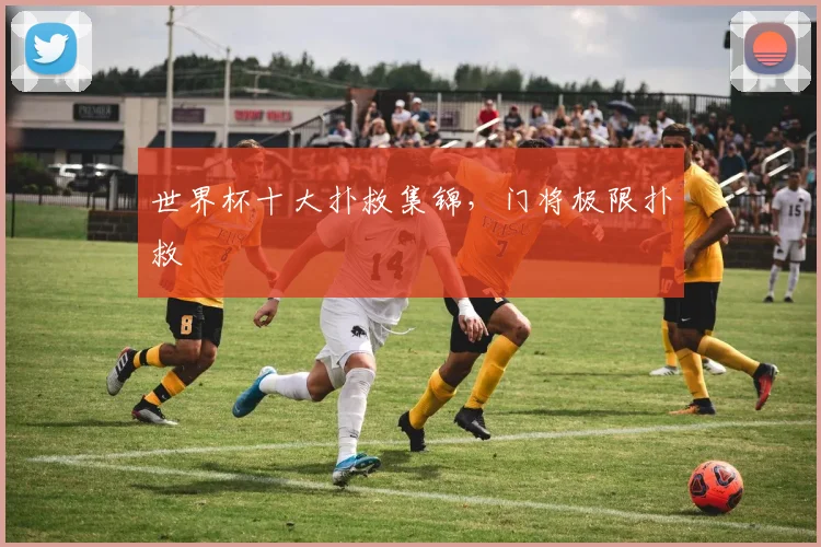 世界杯十大扑救集锦,门将极限扑救