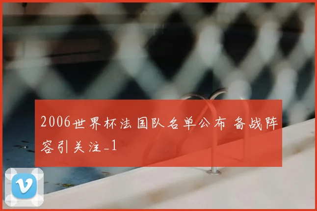 2006世界杯法国队名单公布 备战阵容引关注_1