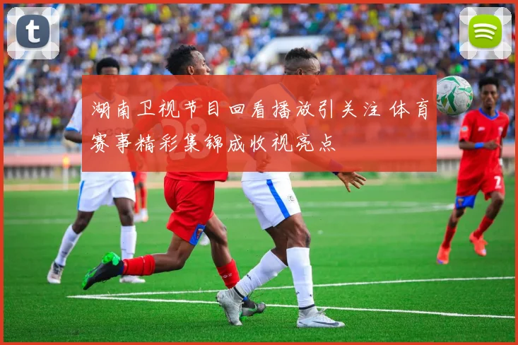 湖南卫视节目回看播放引关注 体育赛事精彩集锦成收视亮点